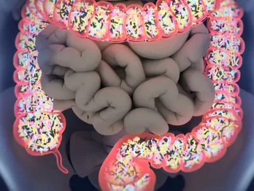 Microbiote intestinal : que manger pour en prendre soin