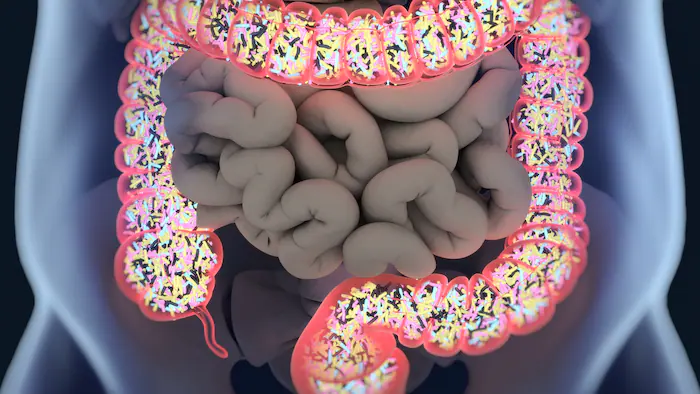 Microbiote intestinal : que manger pour en prendre soin